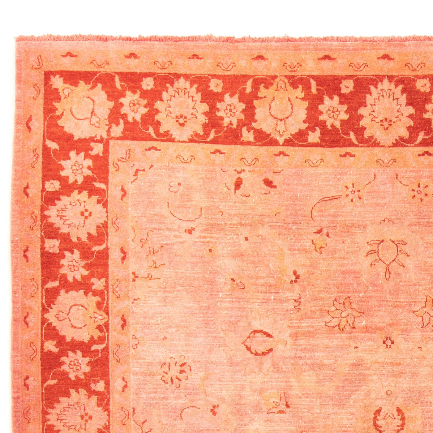 Tapis Ziegler 300x242cm - Tapis oriental