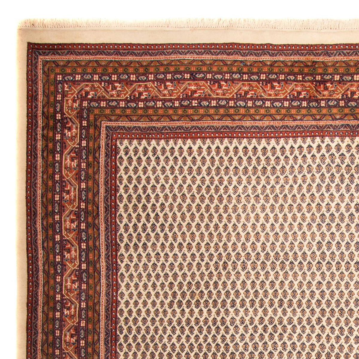 Tapis oriental - Mir - Indus - 344 x 244 cm - beige