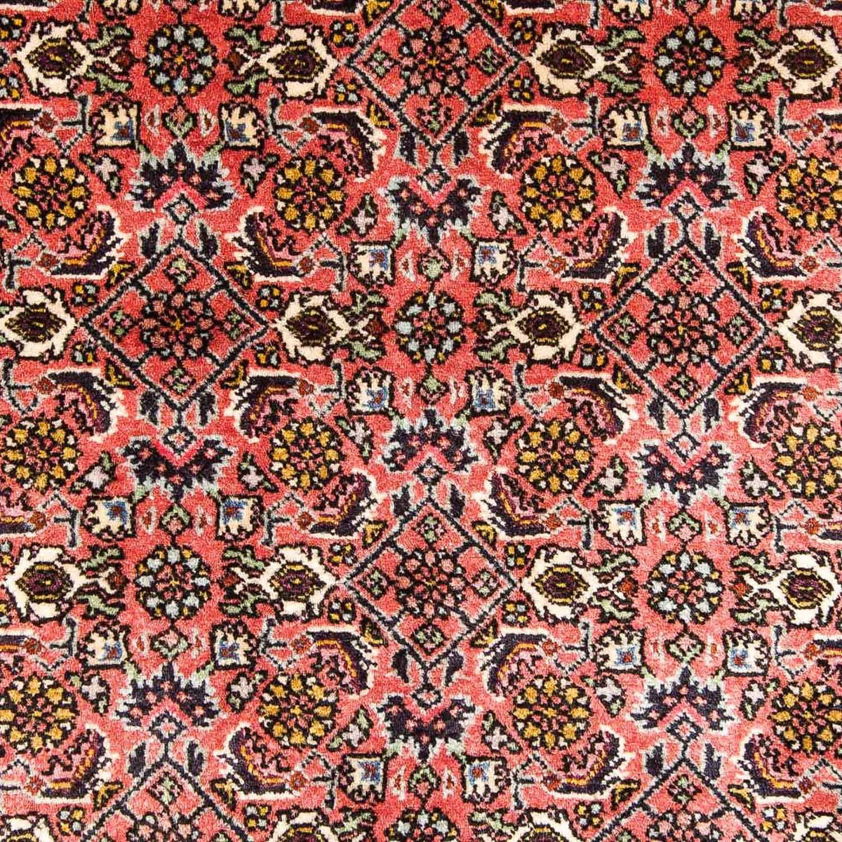 Tapis de couloir Tapis persan - Bidjar - 301 x 87 cm - rouge
