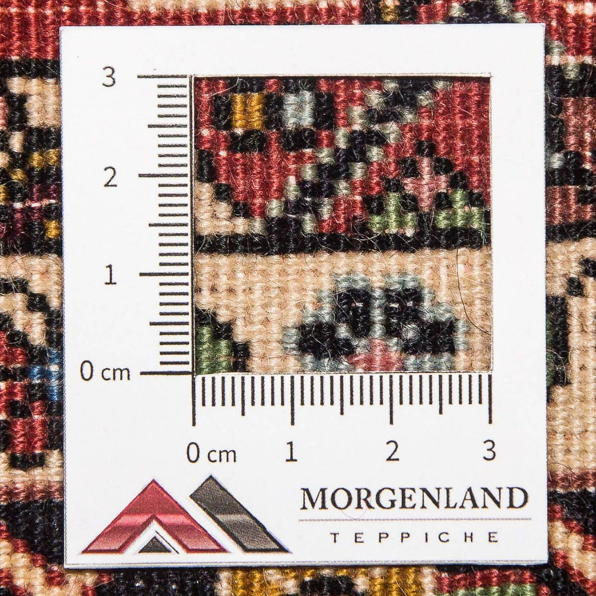 Tapis de couloir Tapis persan - Bidjar - 301 x 87 cm - rouge