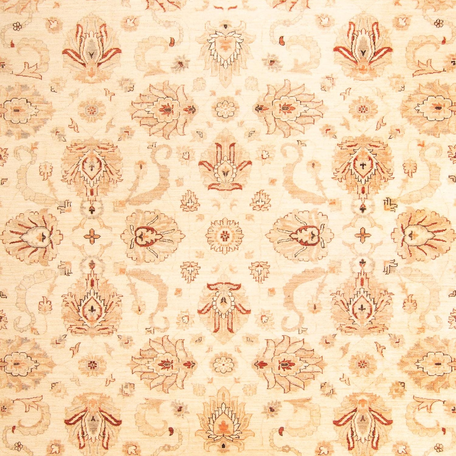 Tapis Ziegler - 397 x 299 cm - beige