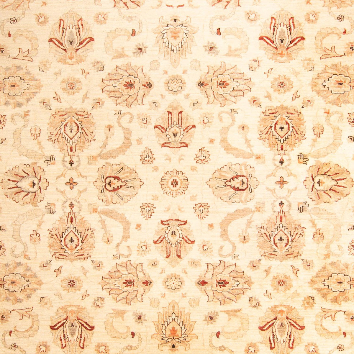 Tapis Ziegler - 397 x 299 cm - beige