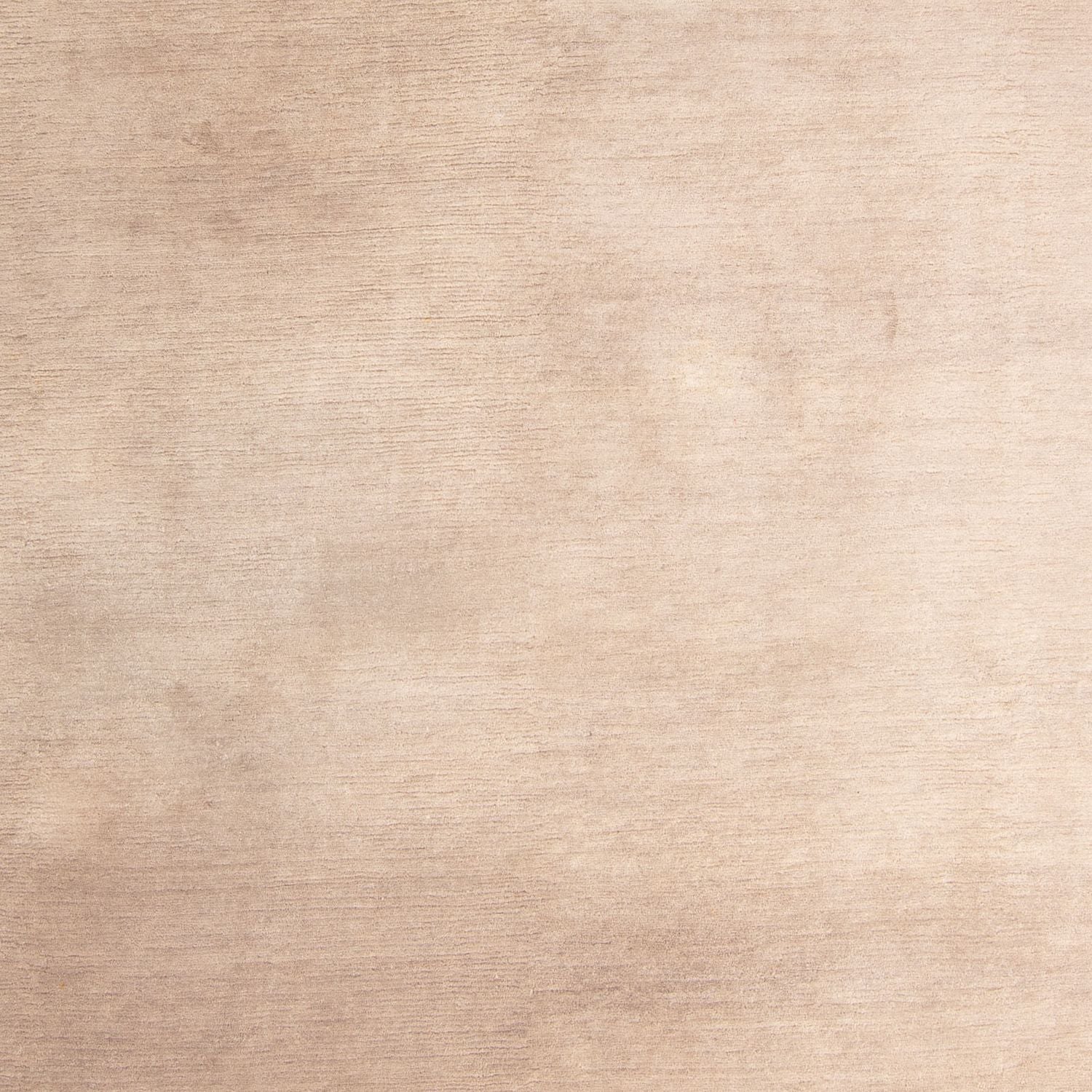Tapis Népalais - 358 x 248 cm - beige