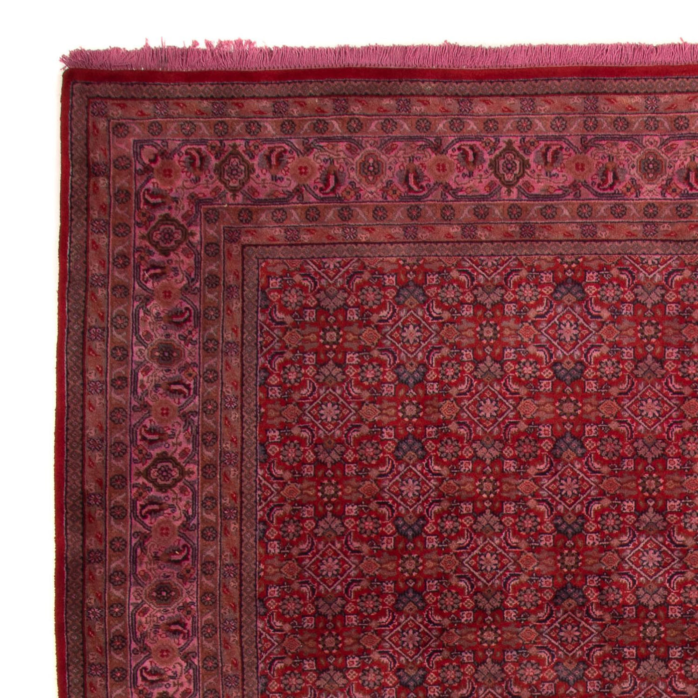 Tapis de Bidjar indien Tapis 300x200cm - Tapis oriental