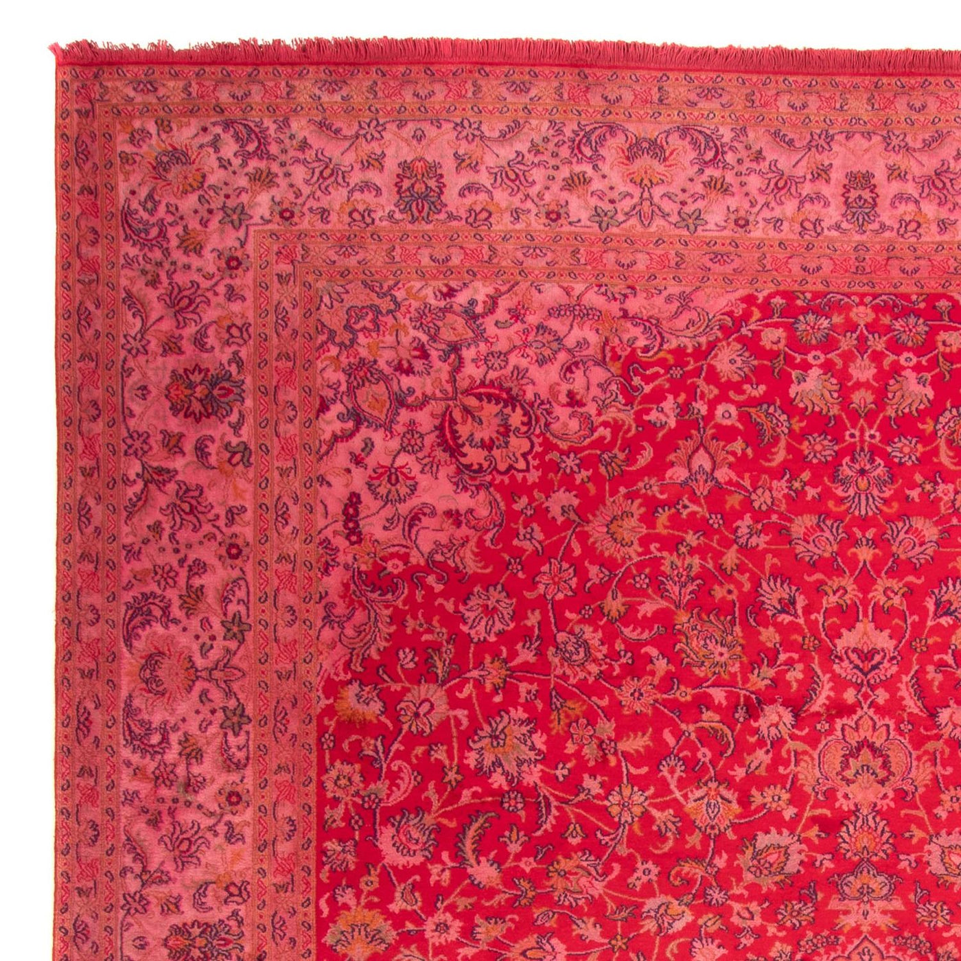 Tapis en soie du Cachemire Tapis 330x234cm - Tapis oriental