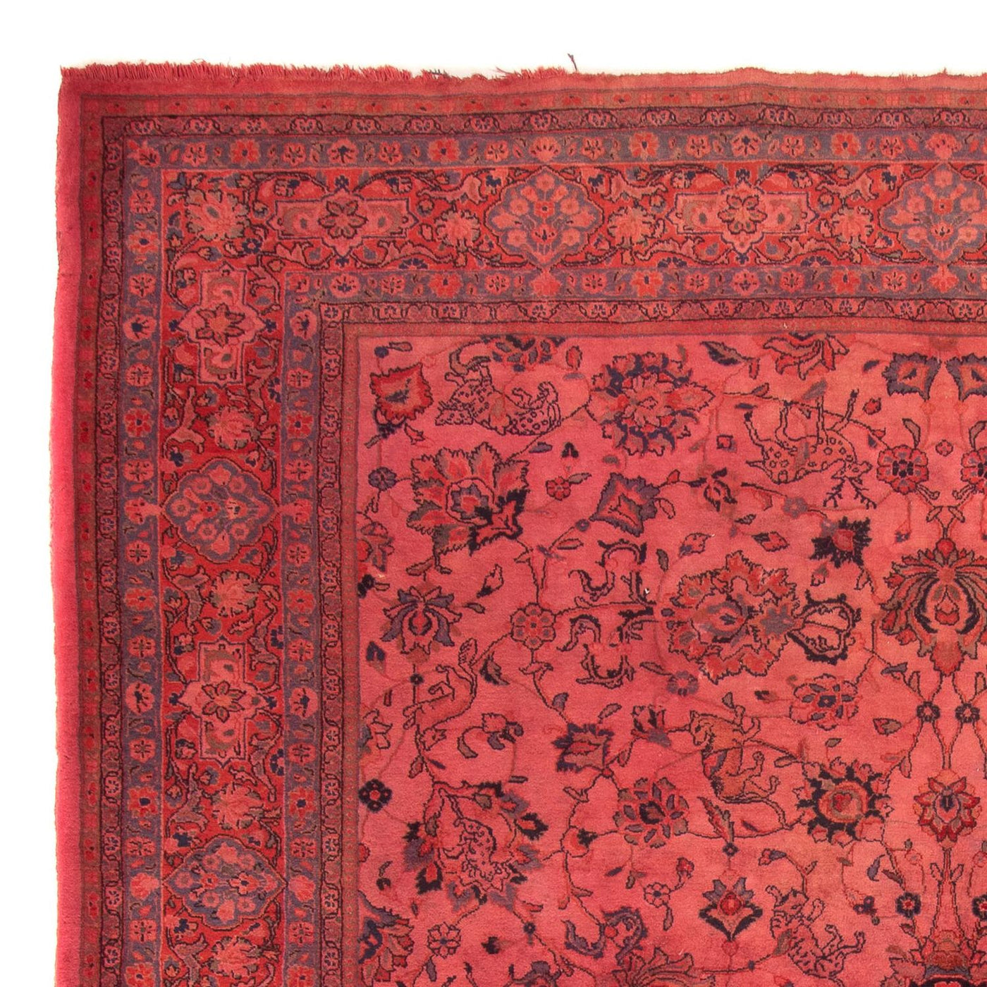 Tapis de Sarouk Tapis 349x244cm - Tapis persan