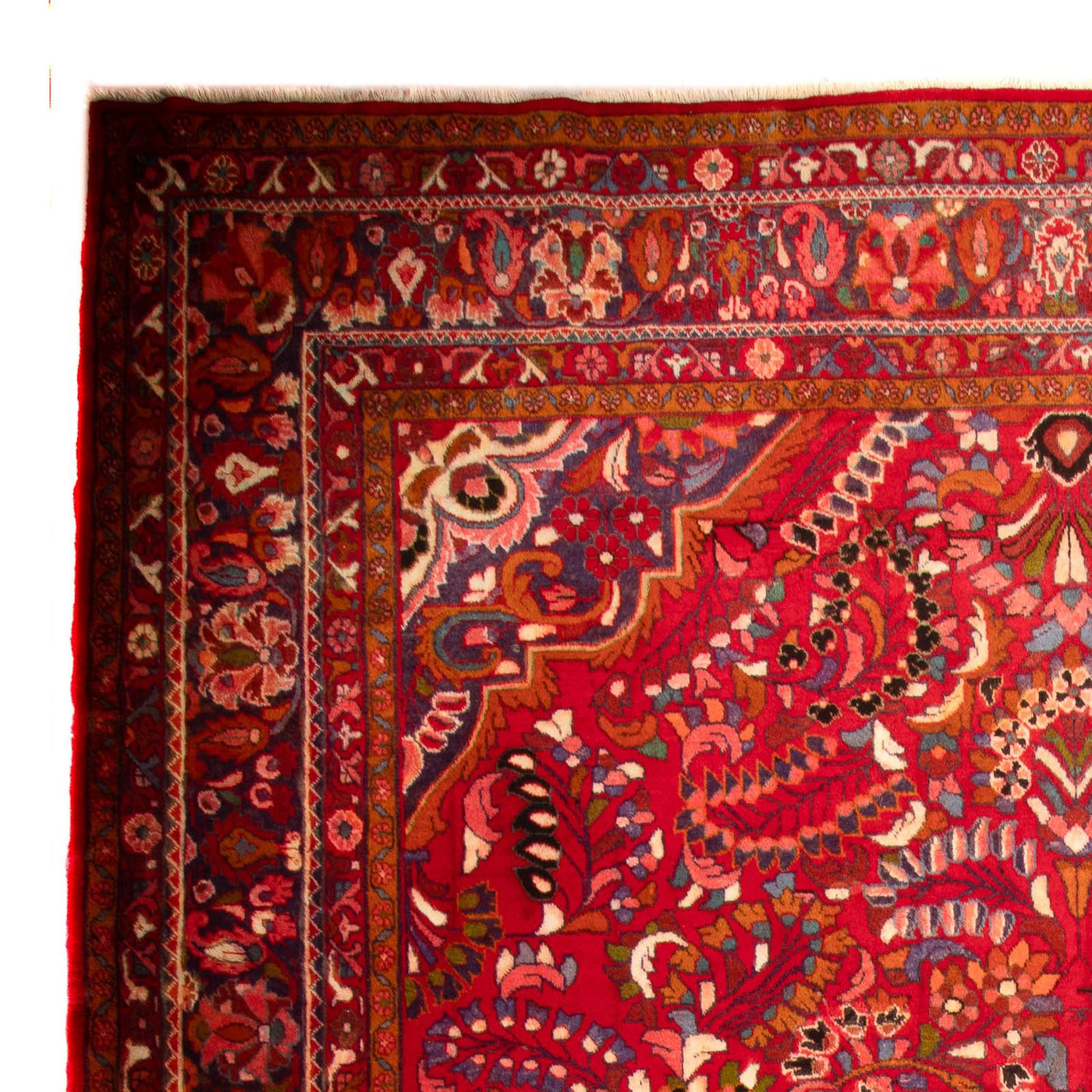 Lilian Tapis 460x326cm - Tapis persan