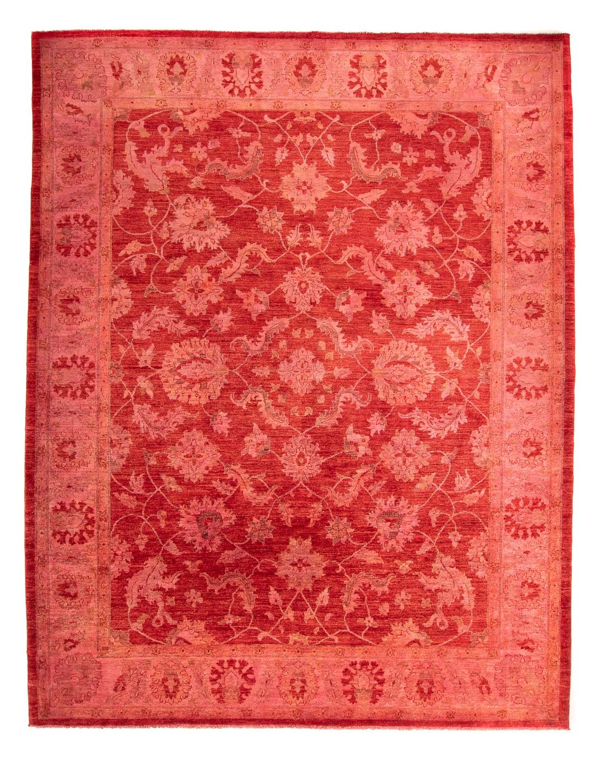 Tapis Ziegler - 350 x 222 cm - rouge clair
