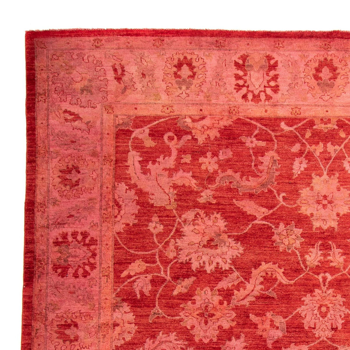 Tapis Ziegler - 350 x 222 cm - rouge clair
