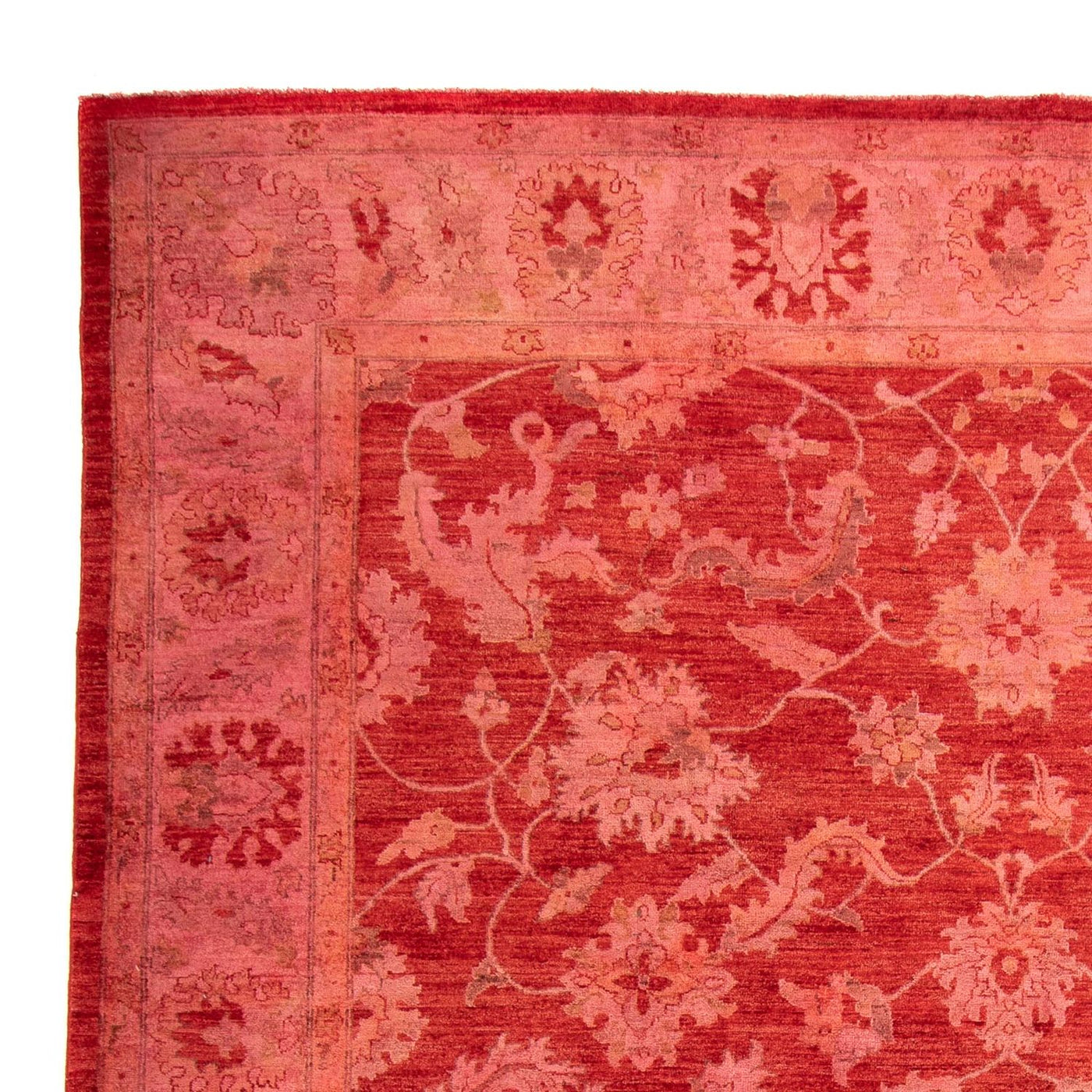 Tapis Ziegler 350x222cm - Tapis oriental