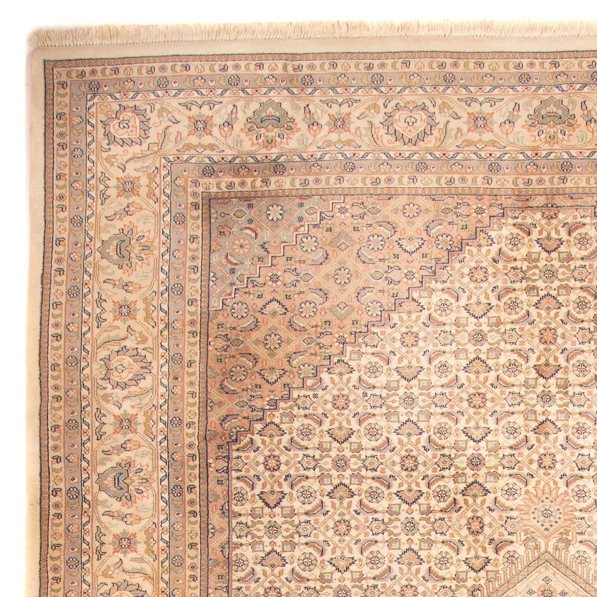 Tapis oriental - Bidjar - Indus - 350 x 250 cm - beige