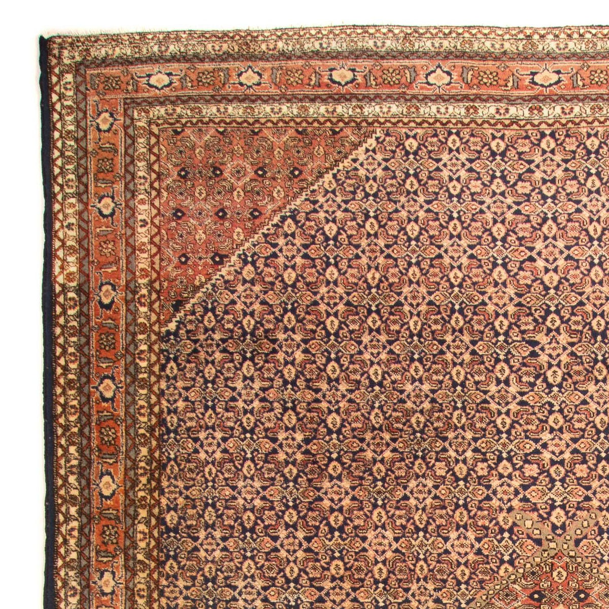 Tapis d'Ardebil Tapis 220x330cm - Tapis persan