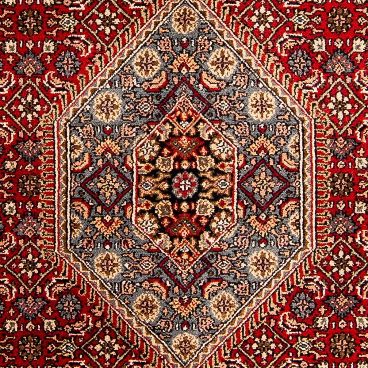 Tapis oriental - Bidjar - Indus - 305 x 199 cm - rouge