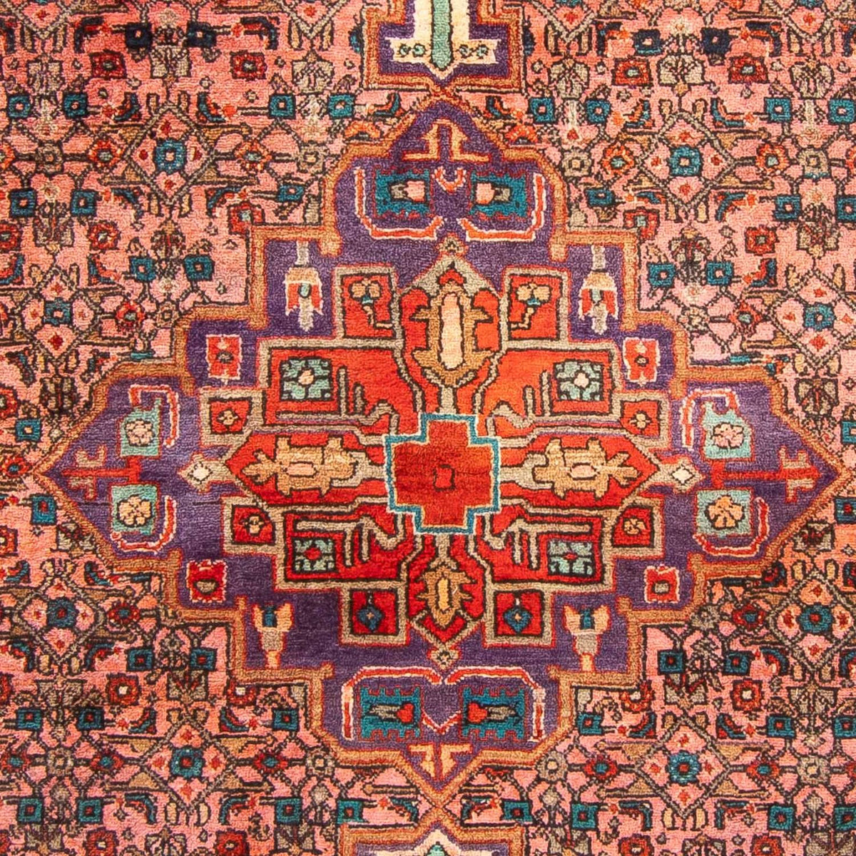 Tapis de couloir Tapis persan - Nomadic - 257 x 100 cm - multicolore