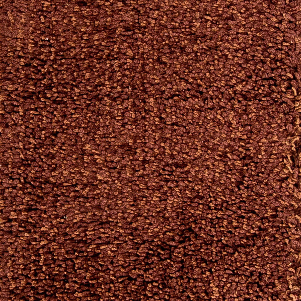 Tapis de couloir Tapis à poils longs - 304 x 65 cm - marron