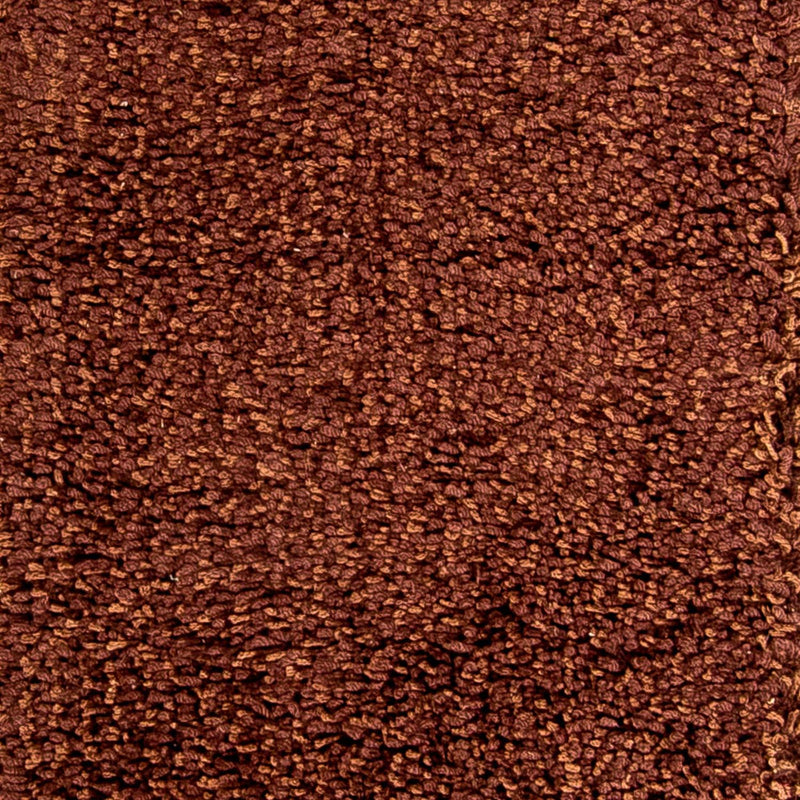 Tapis de couloir Tapis à poils longs - 304 x 65 cm - marron
