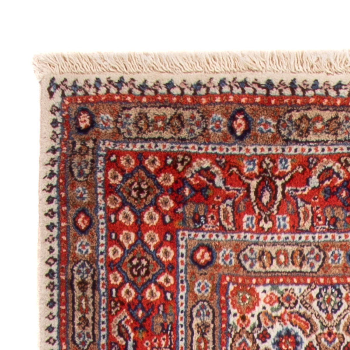 Tapis de couloir Tapis persan - Classique - 195 x 77 cm - multicolore