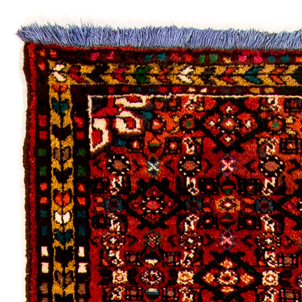 Tapis de Hamadan Tapis 70x320cm - Tapis persan