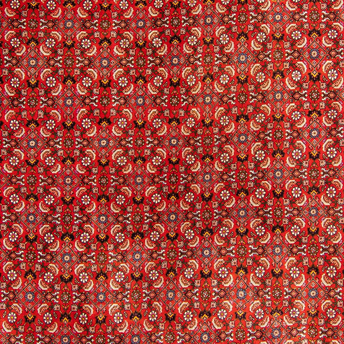 Tapis persan - Bidjar - 300 x 204 cm - rouge