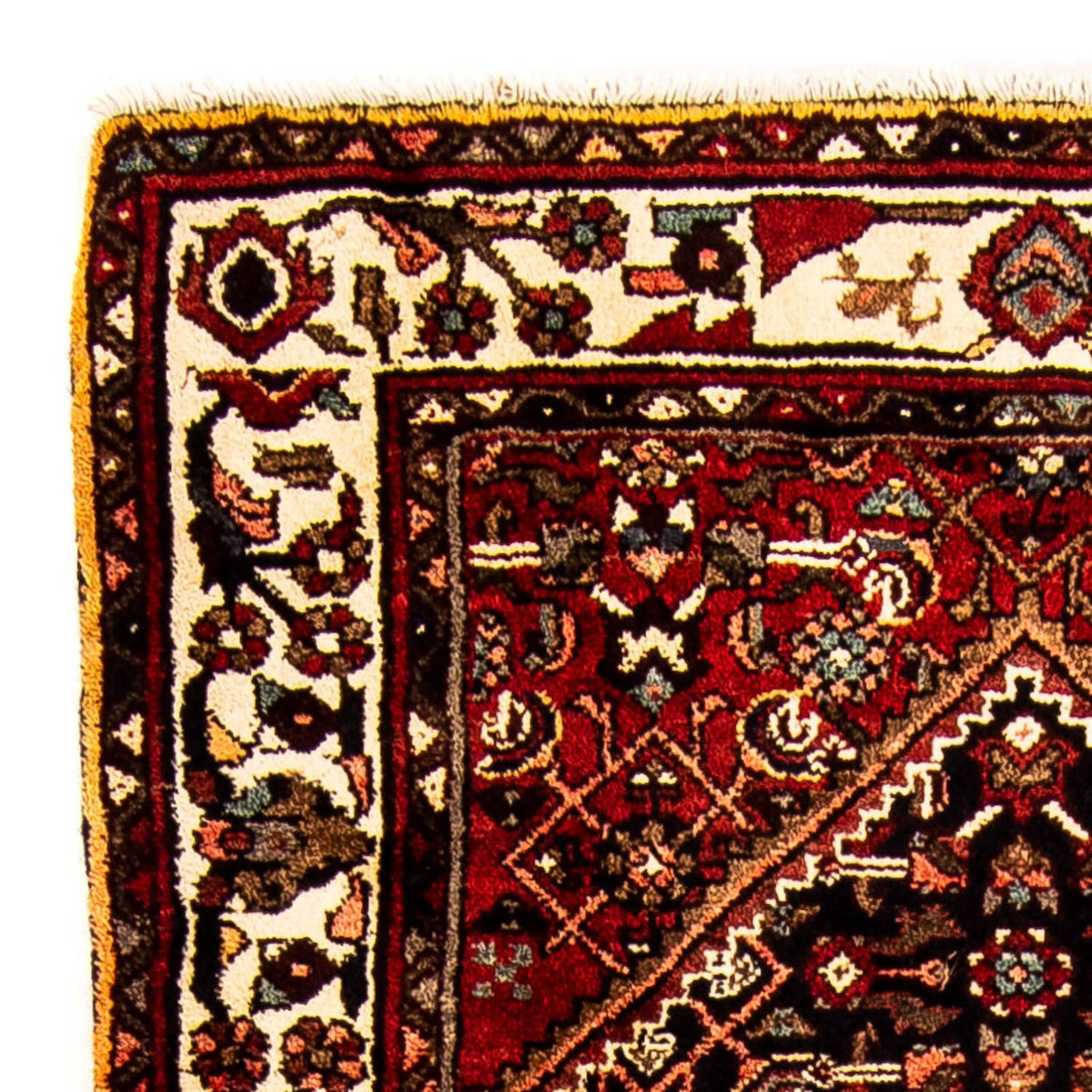 Tapis de couloir Tapis persan - Nomadic - 228 x 100 cm - bleu foncé