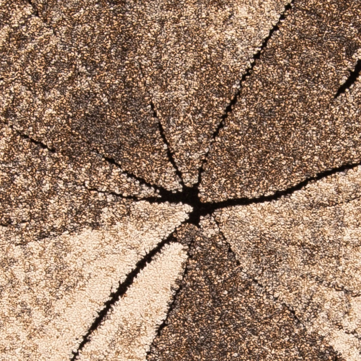 Tapis moderne - 150 x 80 cm - marron clair