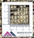 Tapis oriental - 160 x 90 cm - rouge