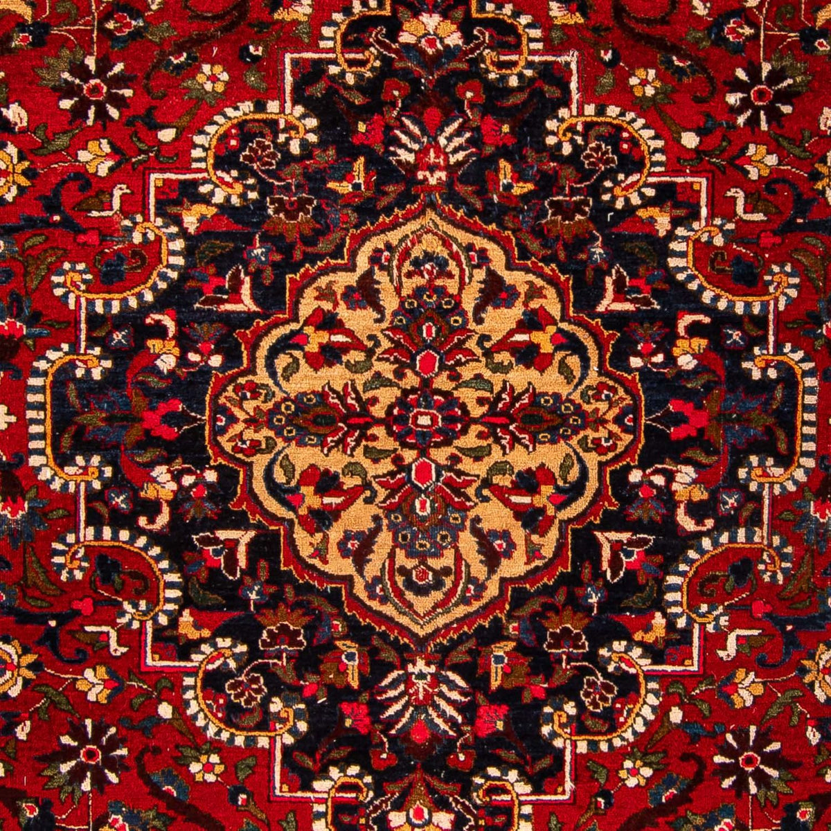 Tapis persan - Nomadic - 335 x 226 cm - rouge foncé