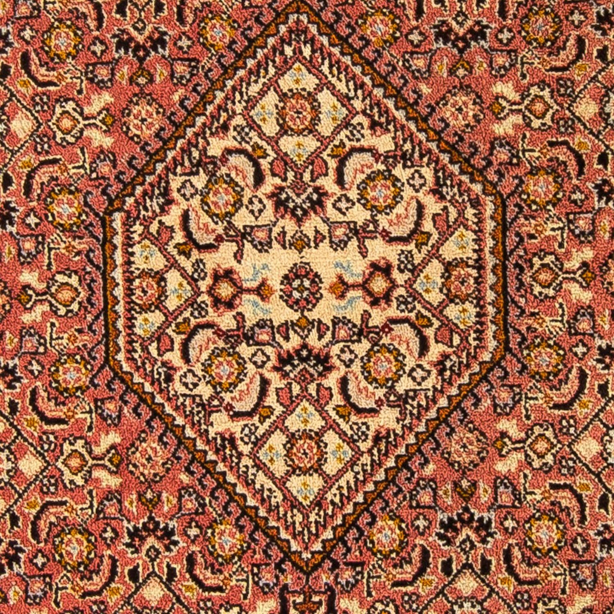 Tapis persan - Bidjar - 143 x 88 cm - marron clair
