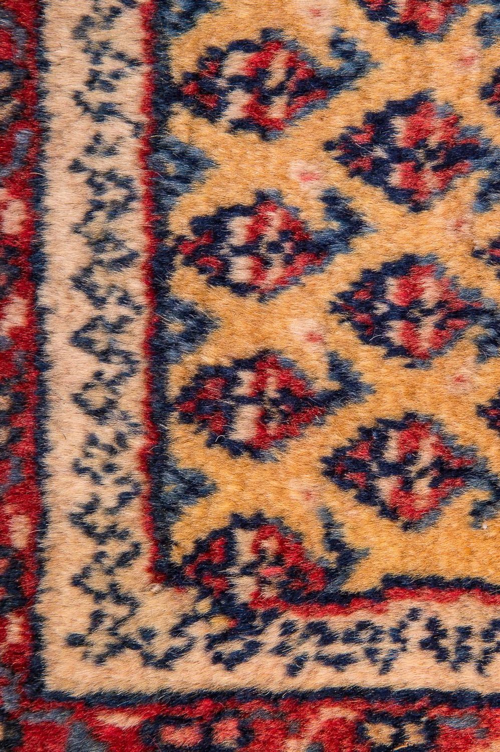 Tapis persan - Nomadic - 288 x 238 cm - beige