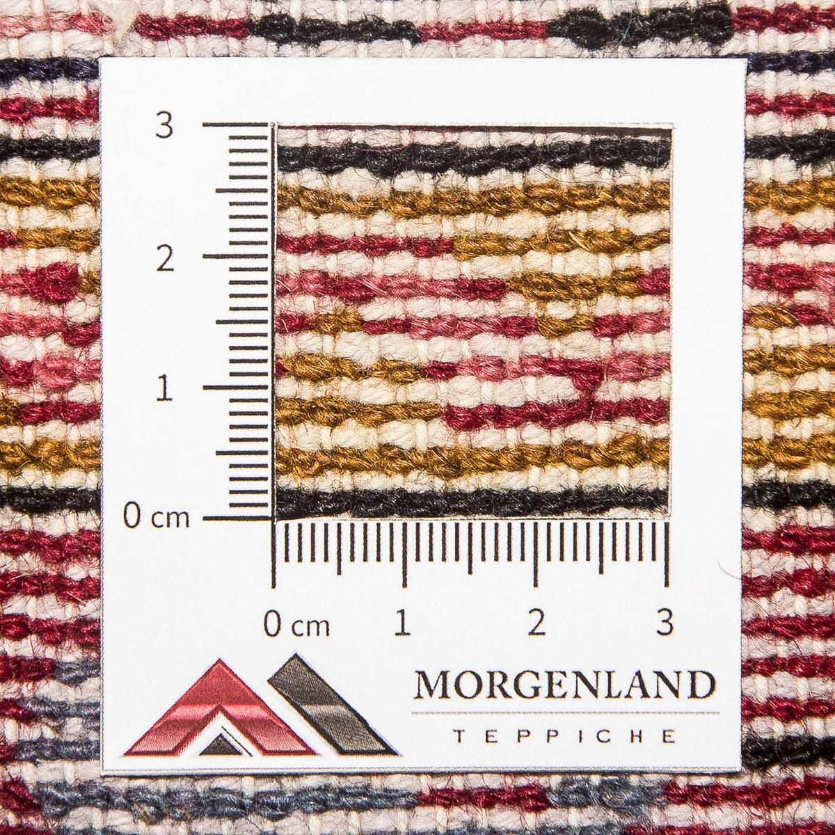 Tapis de couloir Tapis persan - Nomadic - 315 x 65 cm - rouge