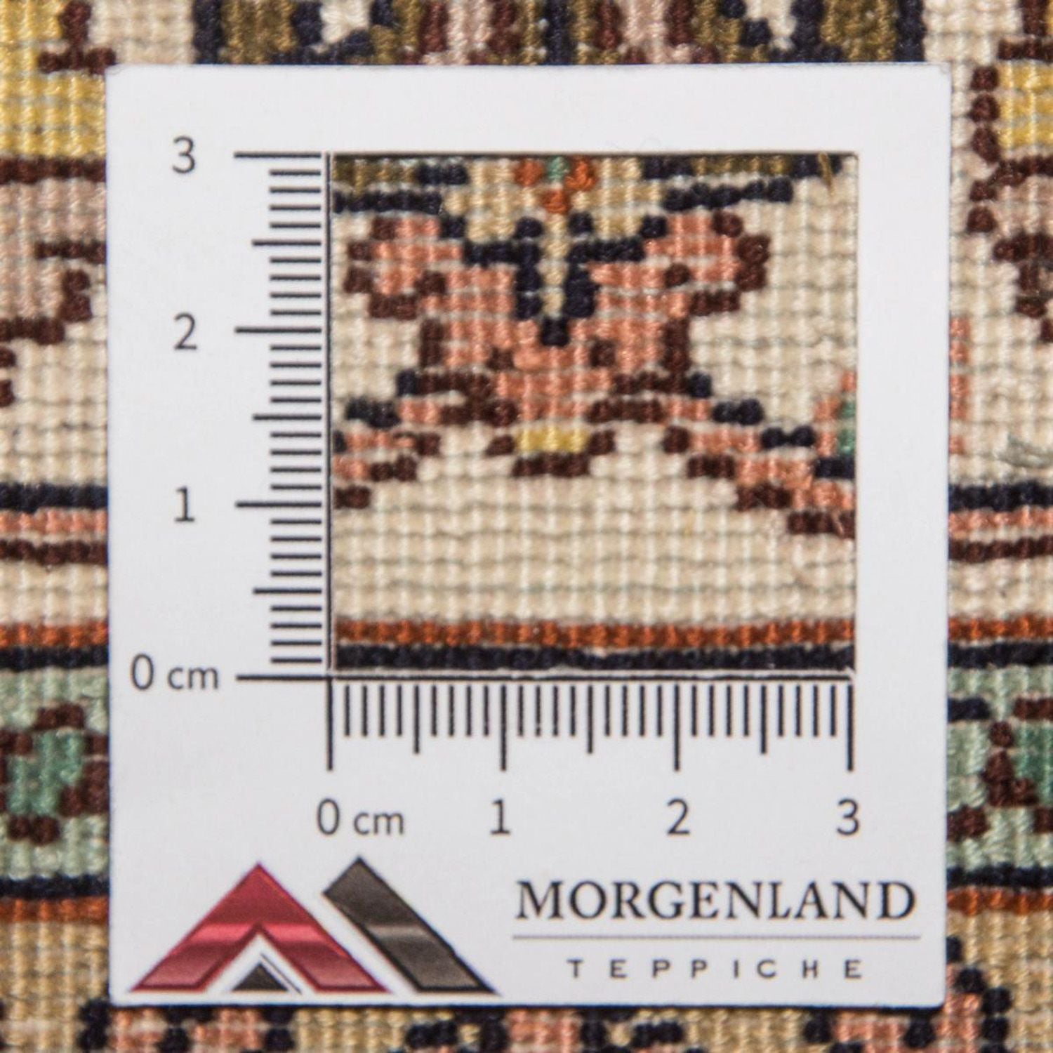 Tapis de couloir Tapis en soie - Soie du Cachemire - 301 x 79 cm - multicolore