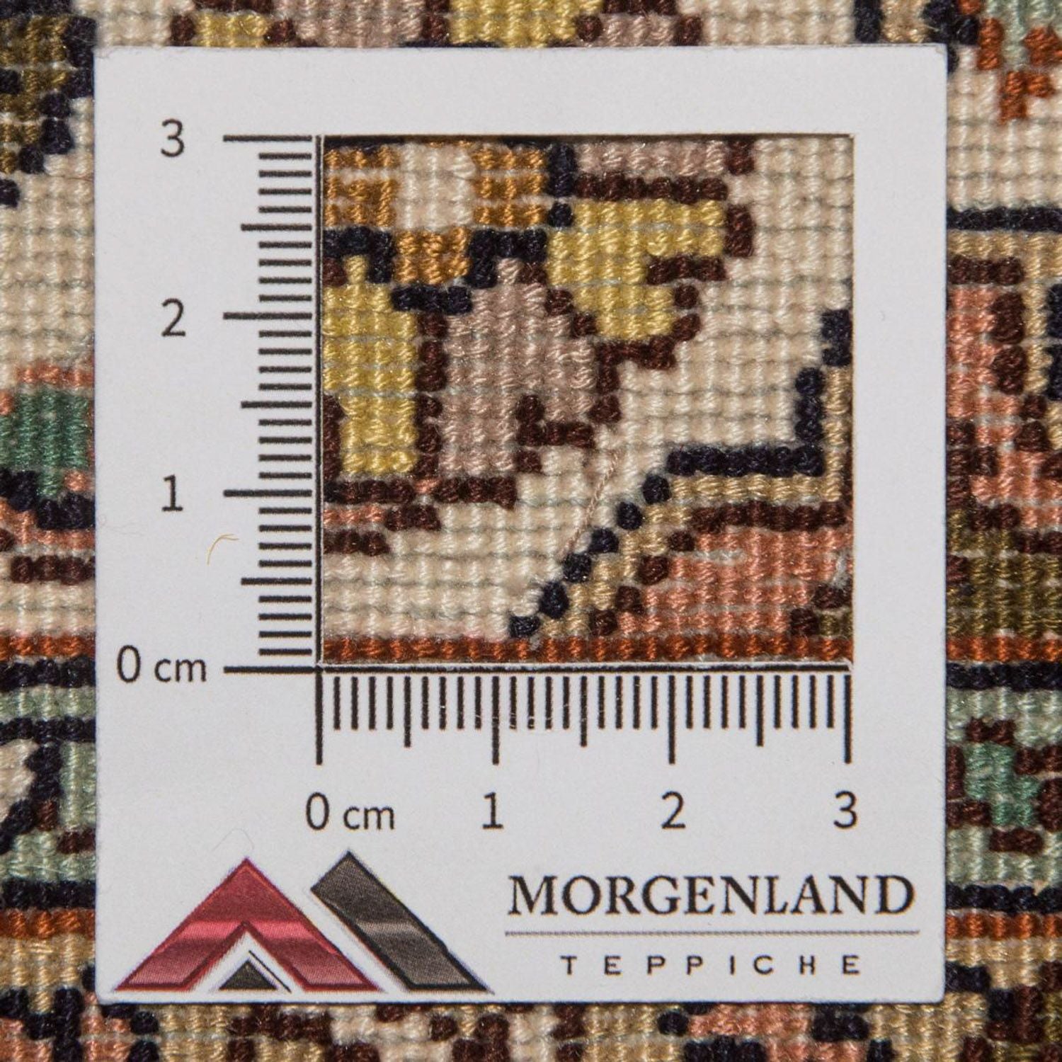Tapis de couloir Tapis en soie - Soie du Cachemire - 300 x 79 cm - beige