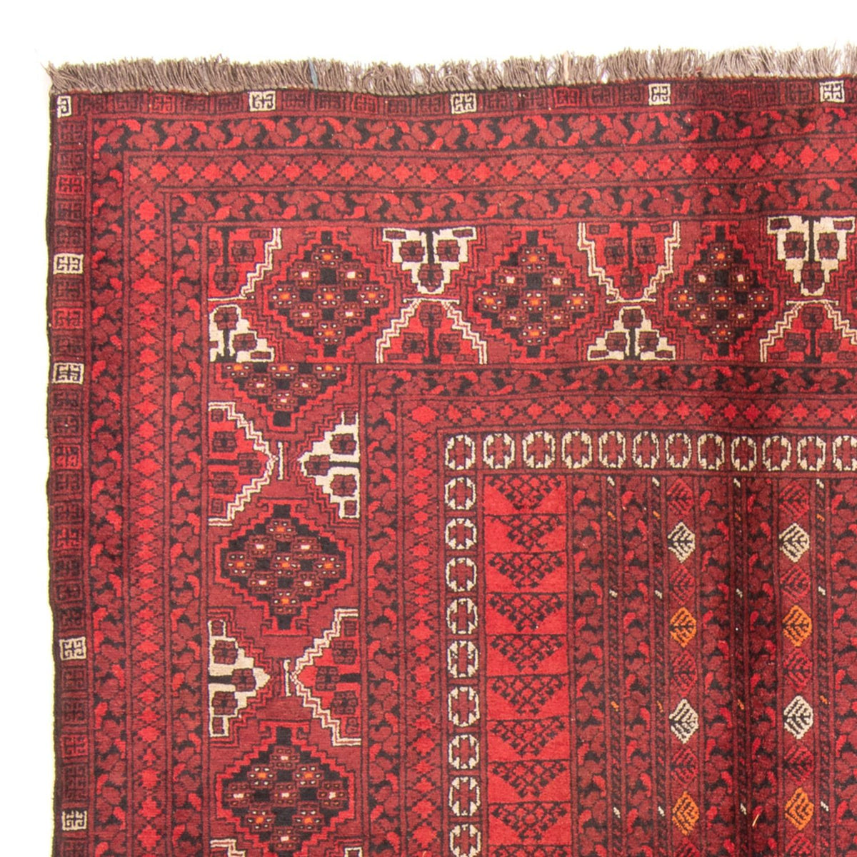 Tapis Turkaman 164x238cm - Tapis persan - rouge