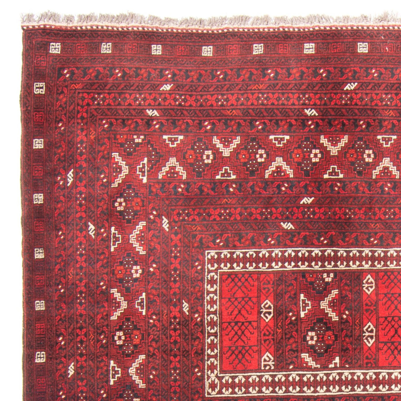 Tapis Turkaman 236x162cm - Tapis persan