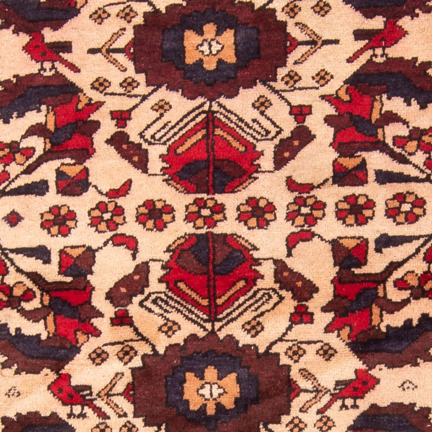 Tapis de couloir Tapis Belutsch - 230 x 93 cm - beige