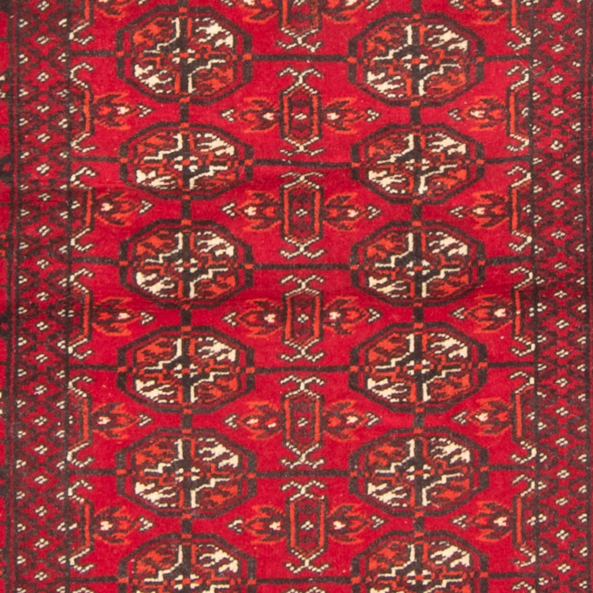 Tapis de couloir Tapis Turkaman - 180 x 83 cm - rouge