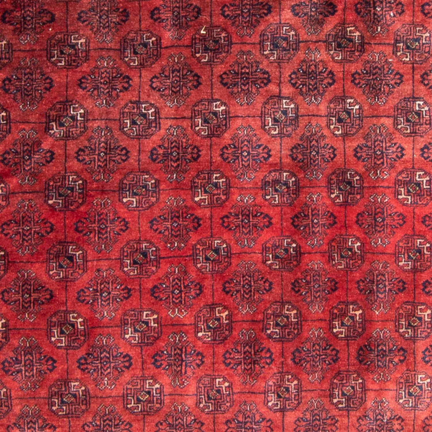 Tapis Turkaman - 305 x 202 cm - rouge