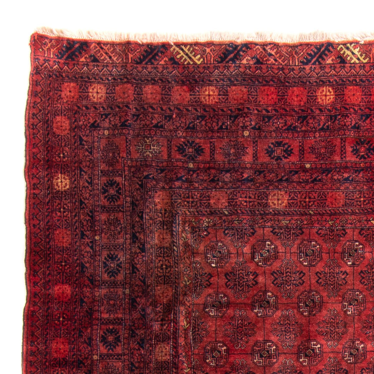 Tapis Turkaman 202x305cm - Tapis persan