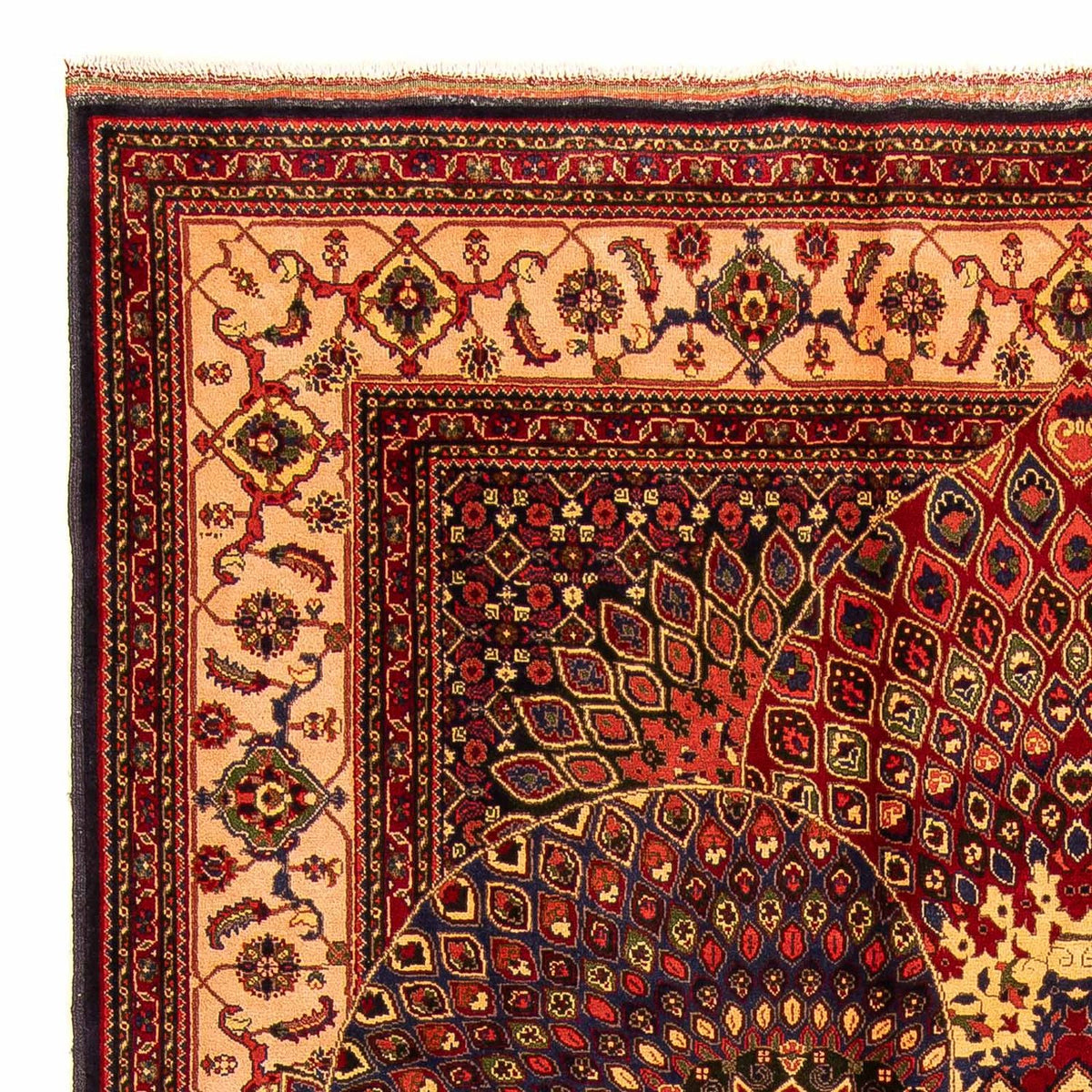Tapis afghan - 279 x 198 cm - multicolore