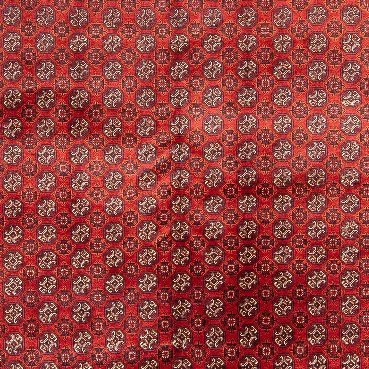 Tapis afghan - Boukhara - 300 x 200 cm - rouge