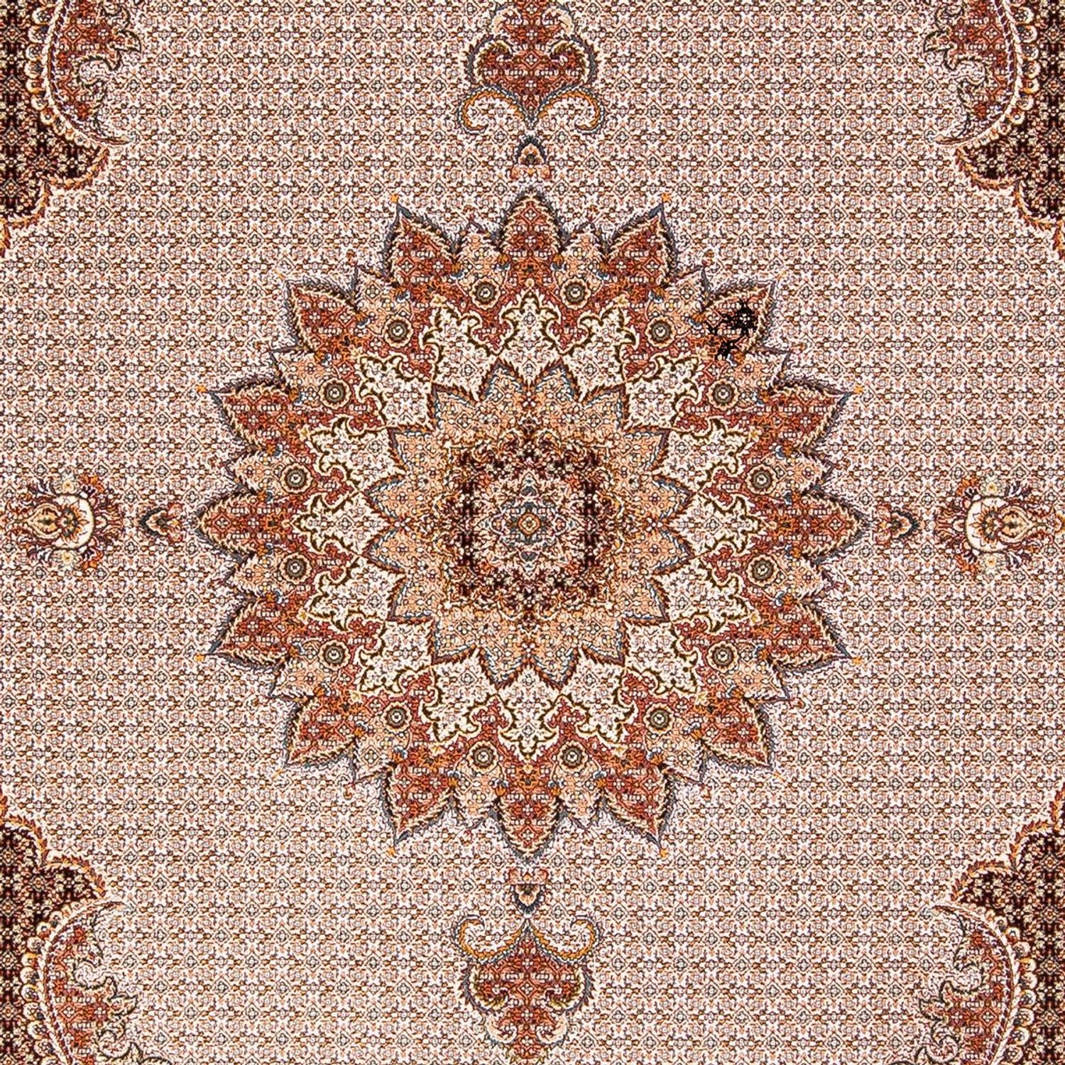 CR-G16-10-225x150
