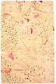 Tapis design 244x155cm - Designerteppich