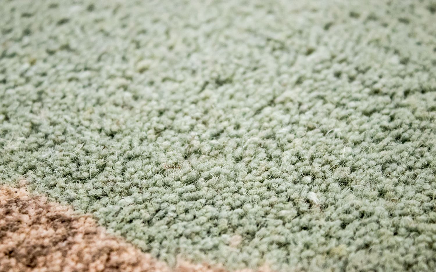 Tapis design - 300 x 250 cm - colorée