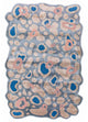 Tapis design 180x270cm - Designerteppich