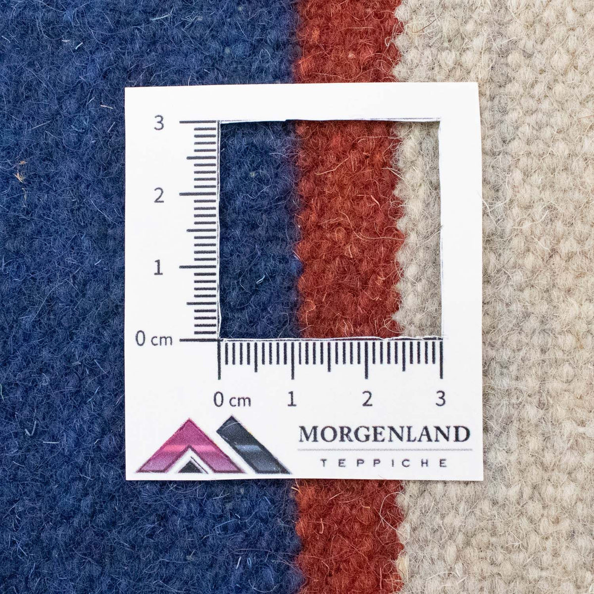 Tapis Kelim - Tendance - 300 x 200 cm - beige