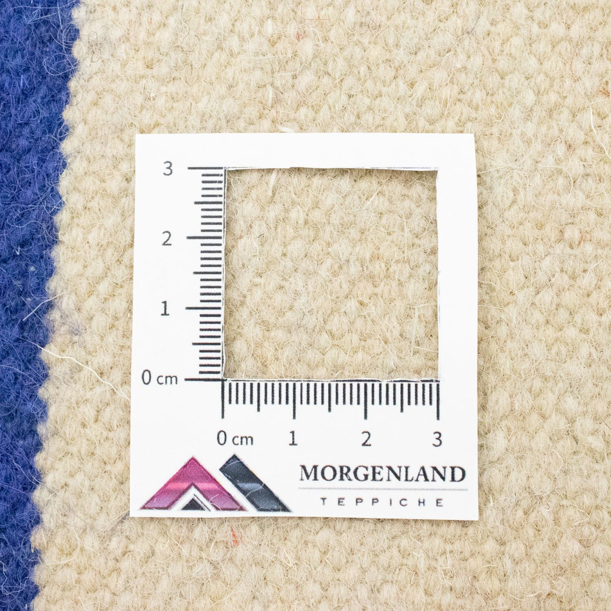 Tapis Kelim - Tendance - 300 x 200 cm - beige