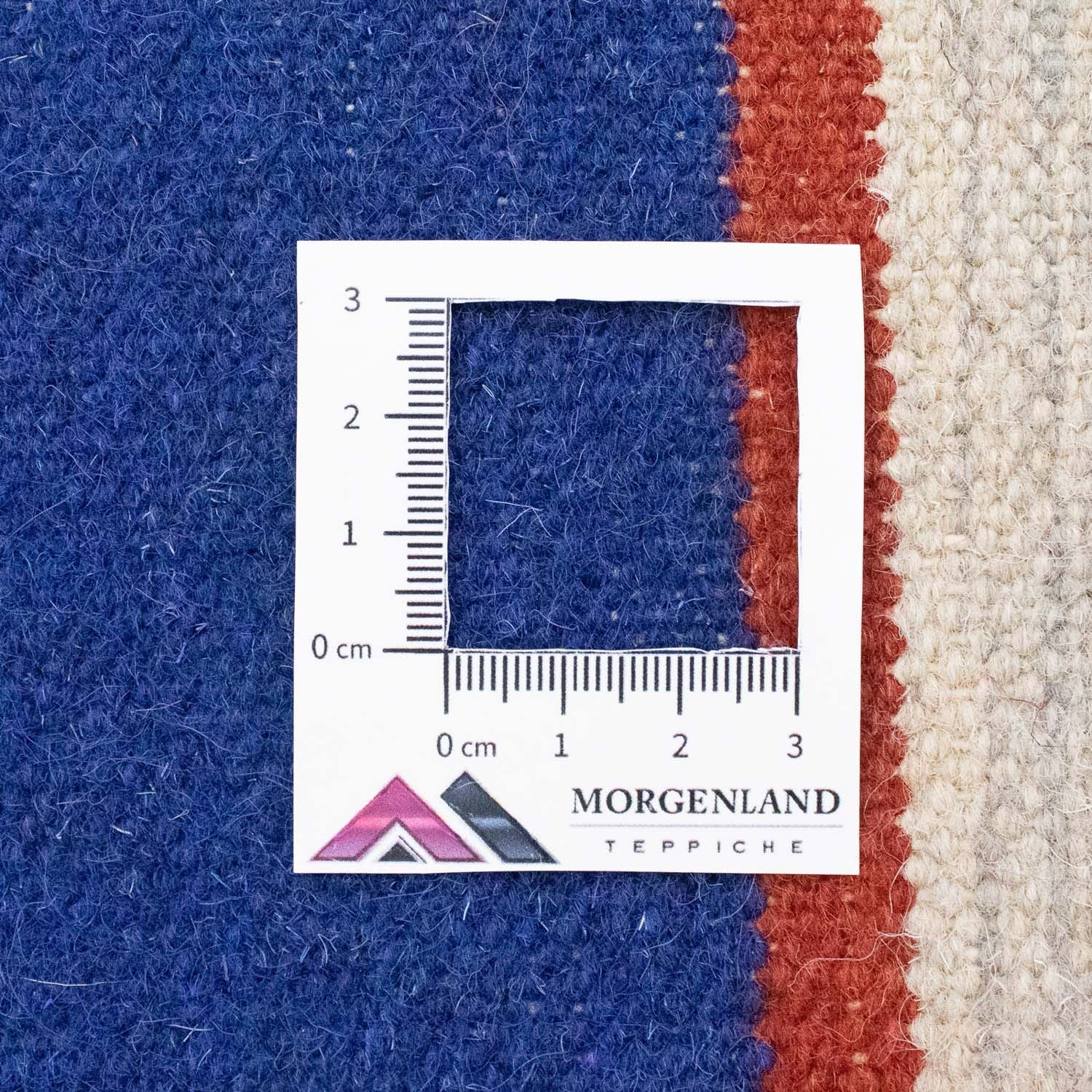 Tapis Kelim - Tendance - 300 x 200 cm - beige