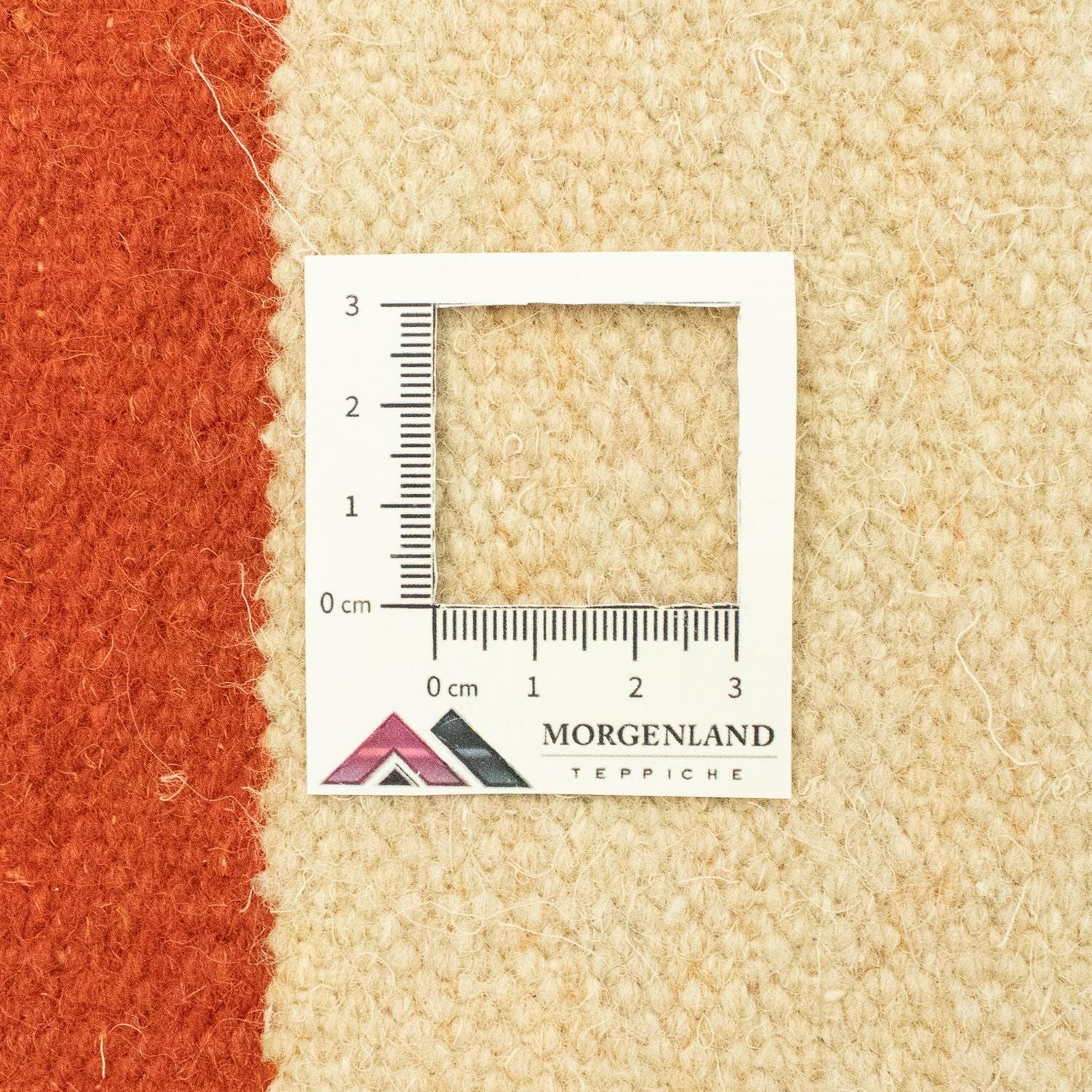 Tapis Kelim - Tendance - 300 x 200 cm - beige