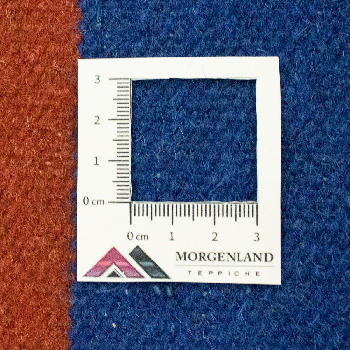 Tapis Kelim - Tendance - 300 x 200 cm - bleu