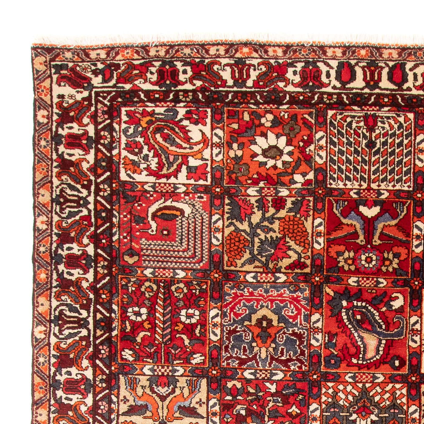 Tapis Bakhtiari Tapis 306x201cm - Tapis persan